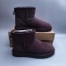 UGG CLASSIC MINI II - Purple-594762